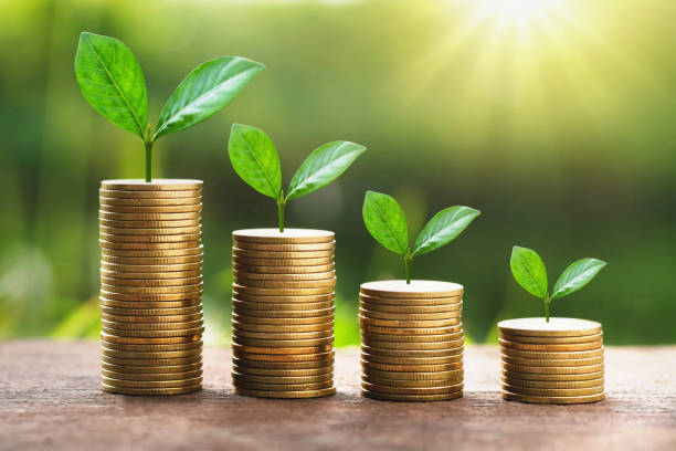 istock growing plant on stack money with sunshine. business finance concept 885737094