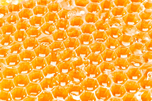 istock juicy honeycombs texture extreme close-up 885740098
