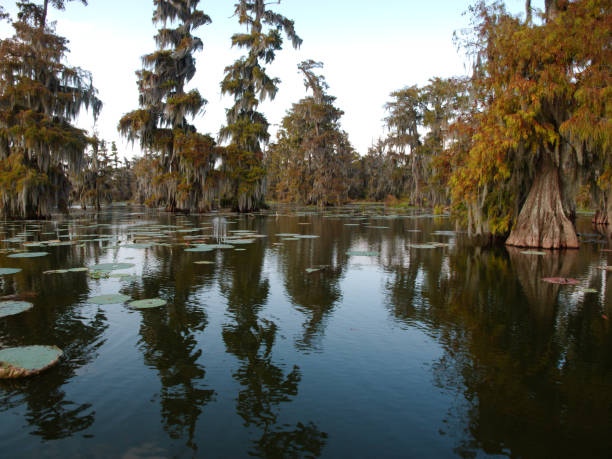 istock Lake Martin landscape 885740266