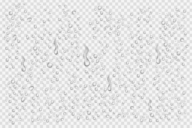 ilustrações de stock, clip art, desenhos animados e ícones de vector set of realistic water droplets on the transparent background. - wet dew drop steam