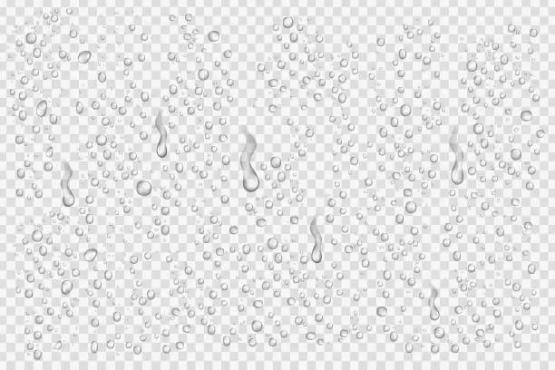 Vector illustration of Vector set of realistic water droplets on the transparent background.