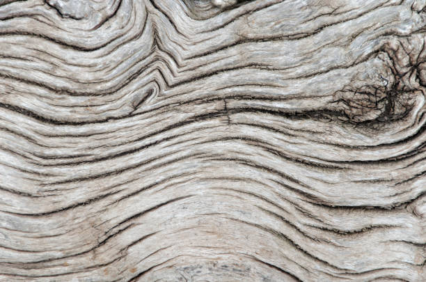 Texture of close up old wood