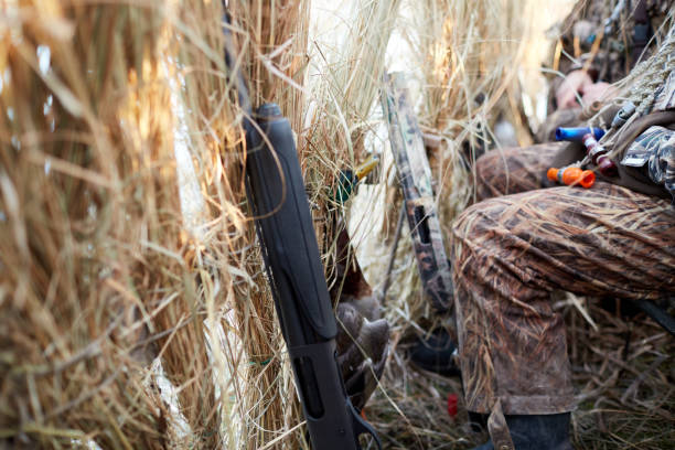 Hunters waiting inside a blind or hind on a shoot stock photo