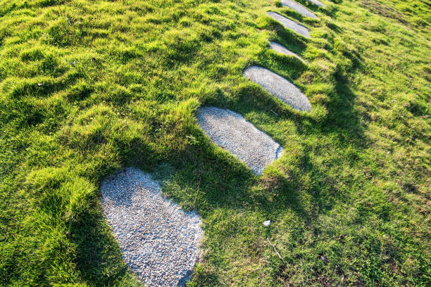 istock Stepping stones on the grass lawn 885769032