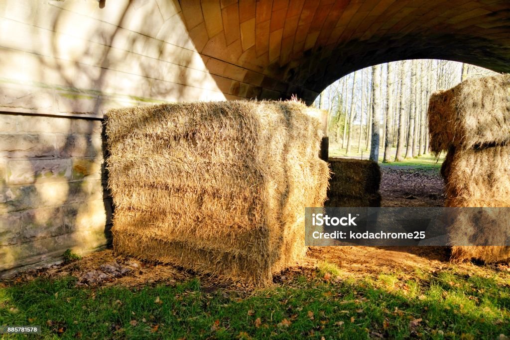 Hay Animal Feed Stored In The Dry Stock Photo - Download Image Now - Animal,  Bale, Barn - iStock