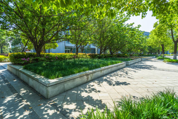 istock Beautiful park at a sunny day 885791462