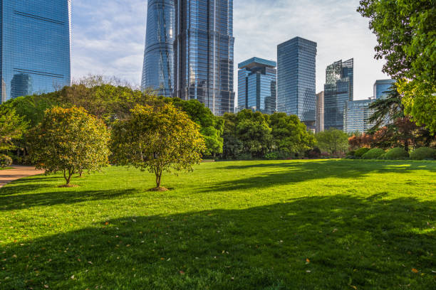 istock shanghai Cityscape under the blue sky 885796560