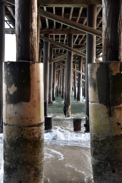 istock Under the Malibu Pier 885812504