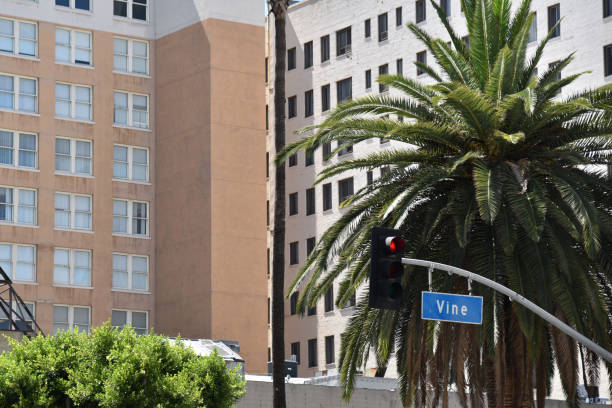 istock Vine Street Sign, Iconic Intersection 885812614