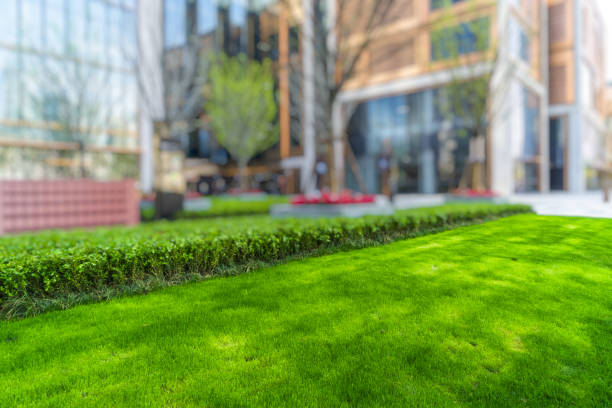 istock Business district and green 885815170