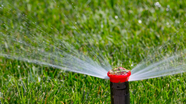 istock automatic sprinkler system watering the lawn on a background of green grass 885860740
