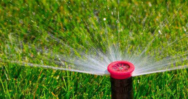 istock automatic sprinkler system watering the lawn on a background of green grass 885860780