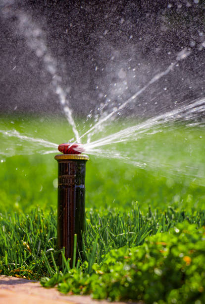 istock automatic sprinkler system watering the lawn on a background of green grass 885860954