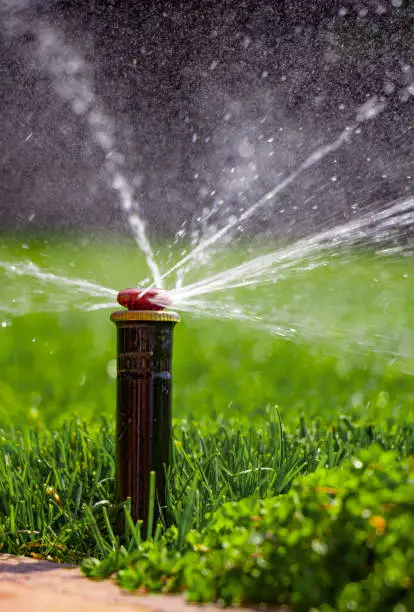 automatic sprinkler system watering the lawn on a background of green grass, close-up