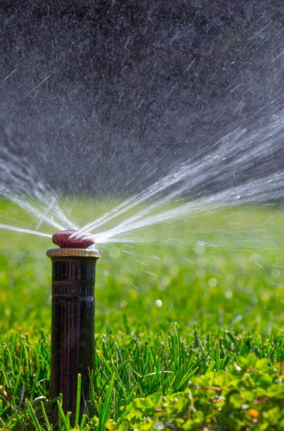 istock automatic sprinkler system watering the lawn on a background of green grass 885862102