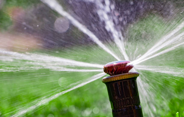 istock automatic sprinkler system watering the lawn on a background of green grass 885865052