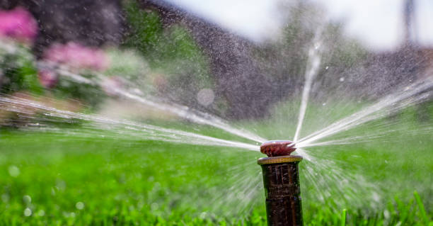 istock automatic sprinkler system watering the lawn on a background of green grass 885867094