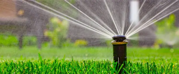 automatic sprinkler system watering the lawn on a background of green grass, close-up