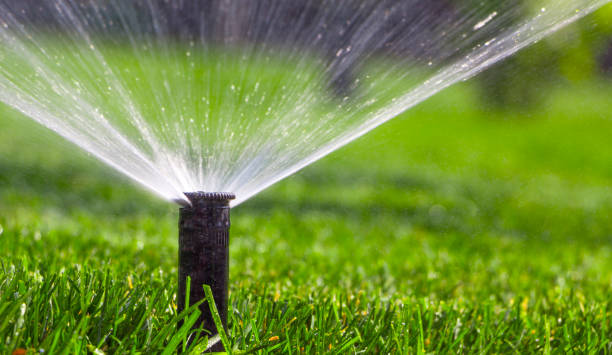 istock automatic sprinkler system watering the lawn on a background of green grass 885871232