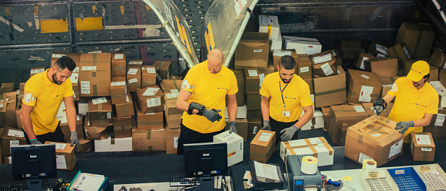 Postal distribution workers working in a warehouse sorting and examining boxes, air cargo container in background.