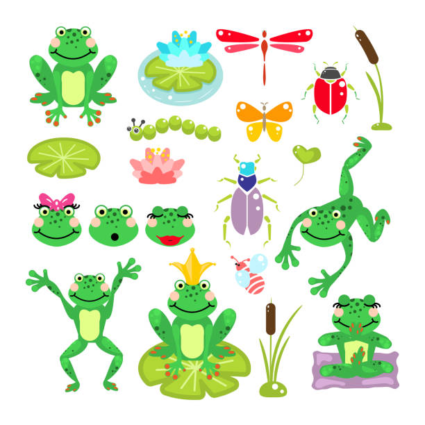 개구리 만화 그린 클립 아트 벡터 세트 - frog jumping pond water lily stock illustrations