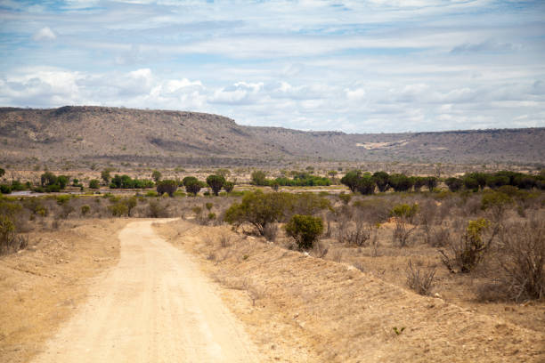 istock Road in Kenya, savannah with mountains and blue sky