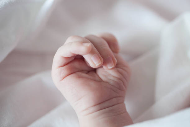 istock hand of a newborn on a white background. 885931616