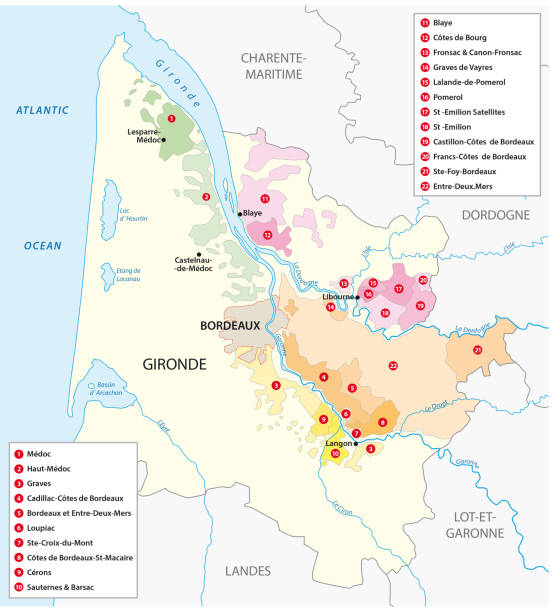 ilustrações, clipart, desenhos animados e ícones de mapa da região vinícola francesa de bordeaux - wine region