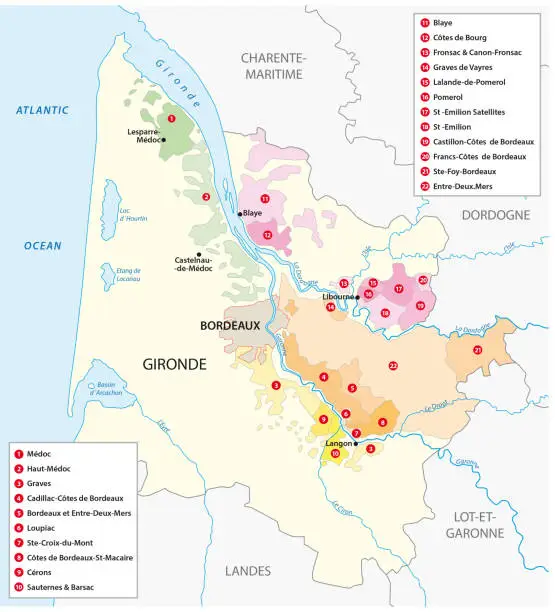 Vector illustration of map of the French wine region of Bordeaux