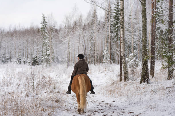 istock Woman horseback riding in winter 885956792