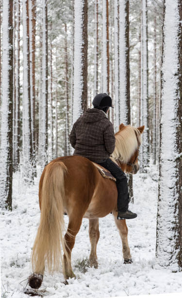 istock Woman horseback riding in winter 885959276
