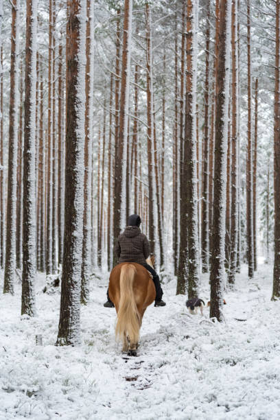 istock Woman horseback riding in winter 885960322