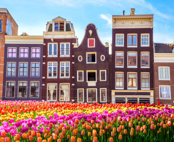 istock Traditional old buildings and tulips in Amsterdam, Netherlands 885965208
