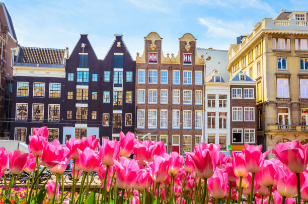 istock Traditional old buildings and tulips in Amsterdam, Netherlands 885965260
