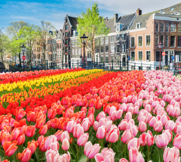 istock Houses of Amsterdam, Netherlands 885965436