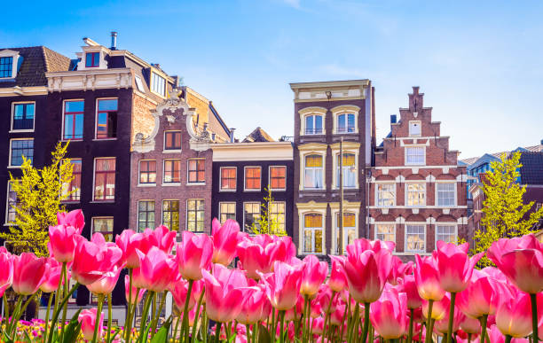 istock Traditional old buildings and tulips in Amsterdam, Netherlands 885965458