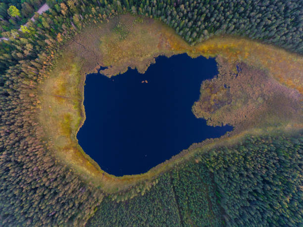 istock Forest lake. Aerial photo. 885968062