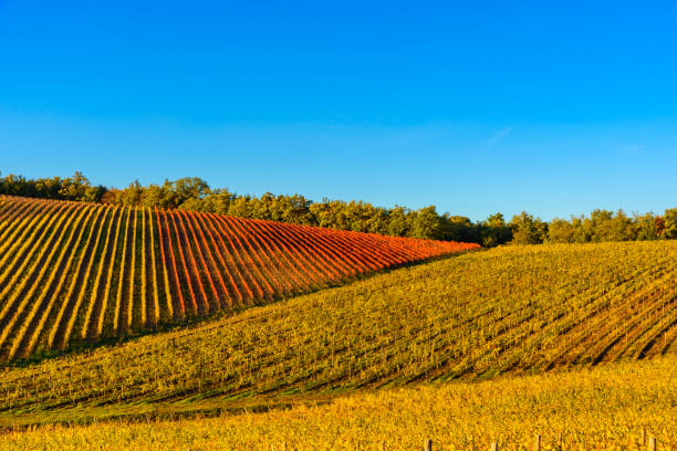 Tuscan landscape in autumn stock photo