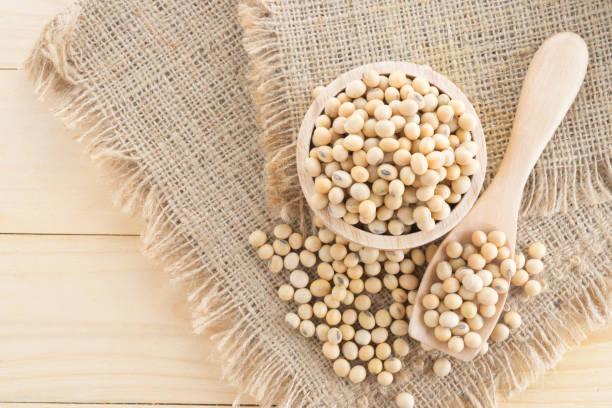 istock soybean in wood cup  on sack background 885992176
