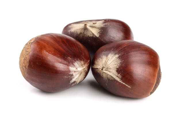 istock fresh edible chestnut isolated on white background 885992390