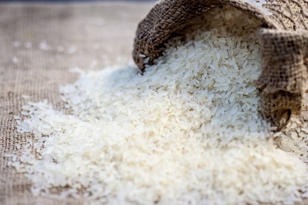 Kolam rice in gunny bag. stock photo