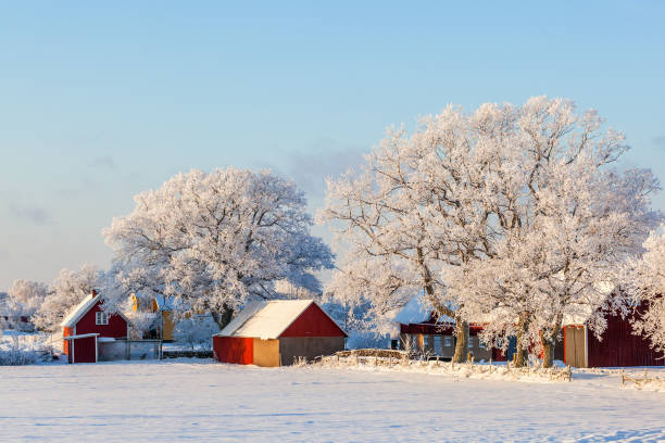 istock Farm with frost and snow 886003844