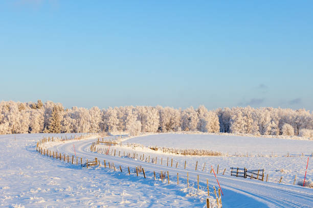 istock Winding winter road across the fields 886003860