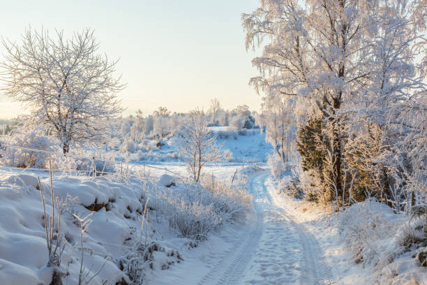 strada sterrata innevata in un idilliaco paesaggio invernale - 18797 foto e immagini stock