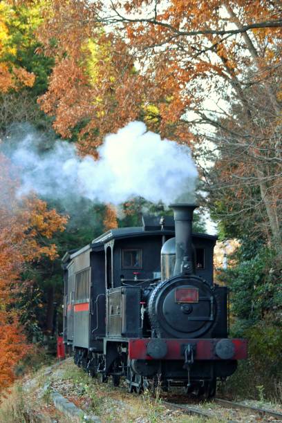istock Steam Locomotive 886004000