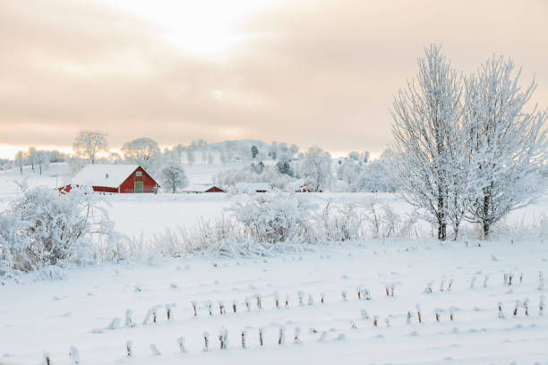 istock Rural winter landscape with a farm 886004382