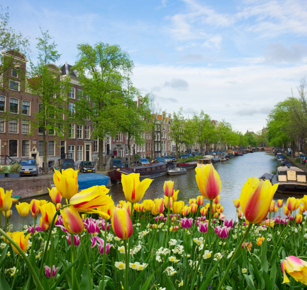 istock Houses of Amstardam, Netherlands 886006986