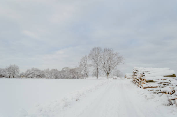 istock winter rural scene with snow and white fields 886007106