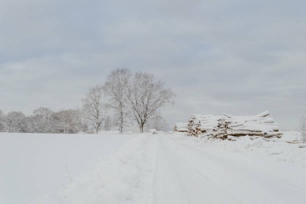 istock winter rural scene with snow and white fields 886007110