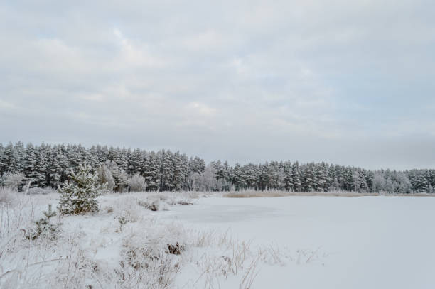 istock winter rural scene with snow and white fields 886007274
